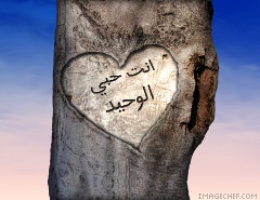 sihem