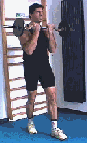 biceps