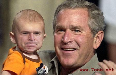 bush