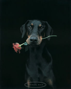 mon chien