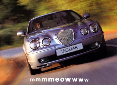 jaguar